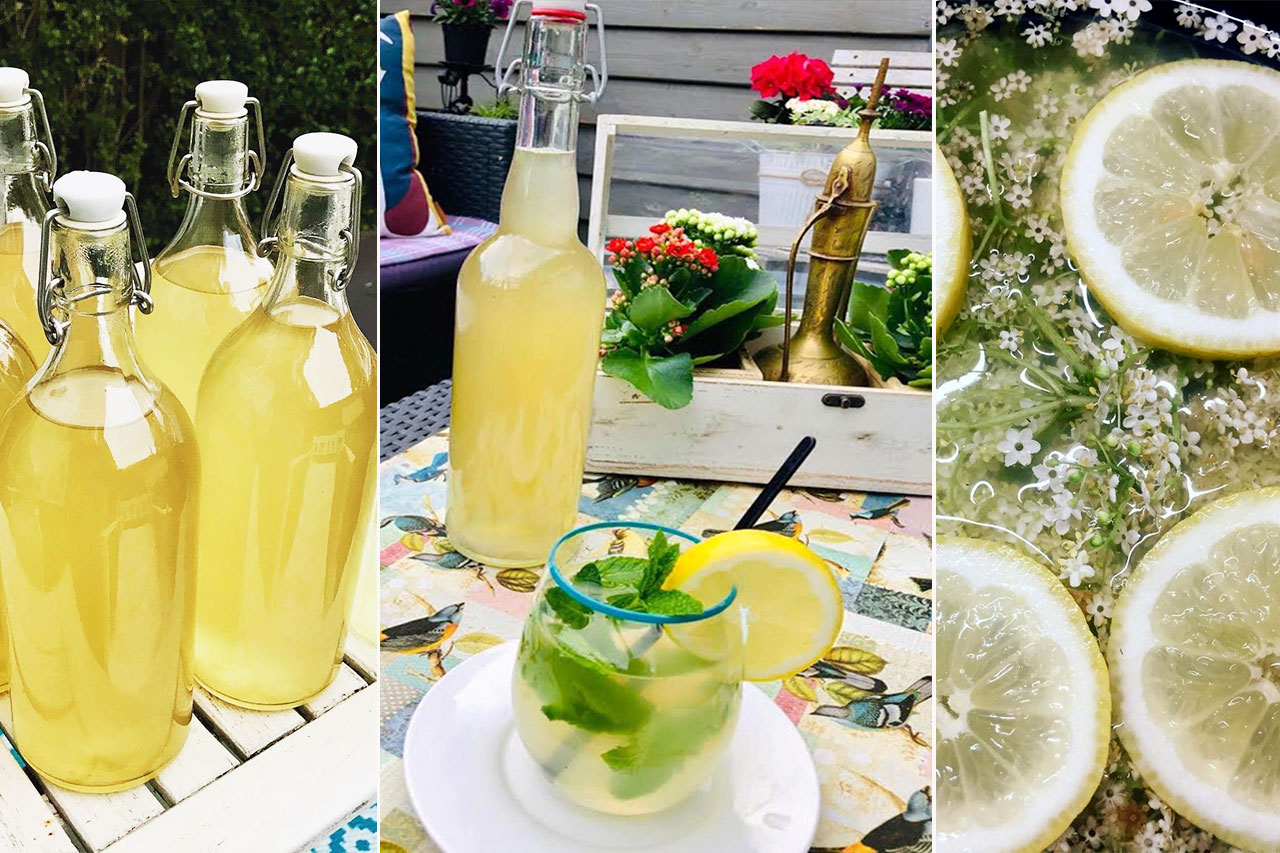 Sok od zove u Holandiji